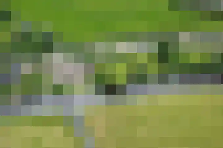 Meije 80 Bodegraven thumbnail 44