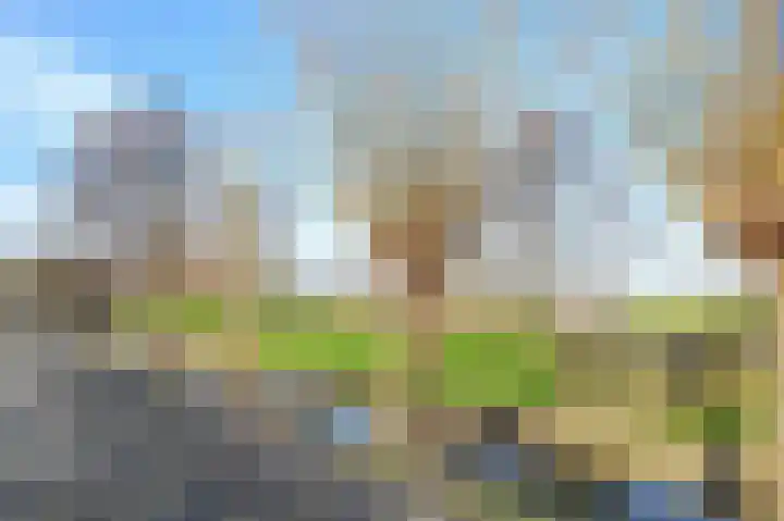 Meije 80 Bodegraven thumbnail 49