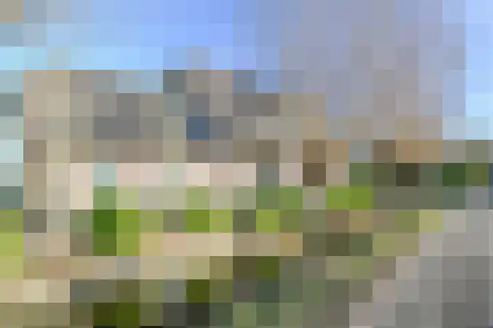 Meije 80 Bodegraven thumbnail 50