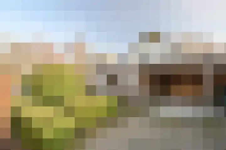 Meije 80 Bodegraven thumbnail 51