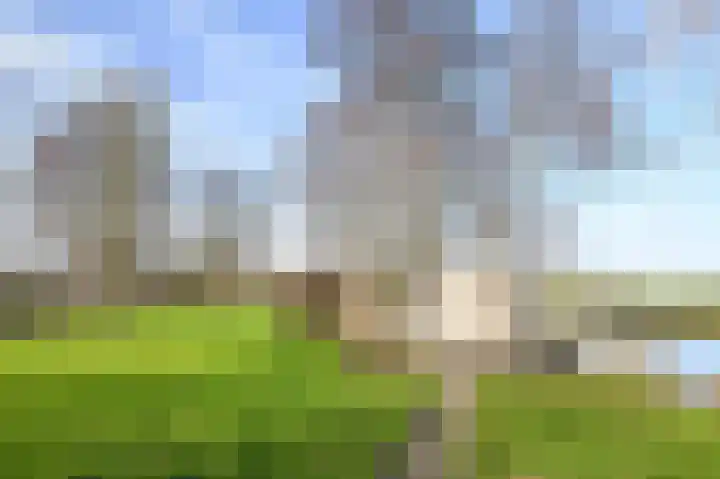 Meije 80 Bodegraven thumbnail 55