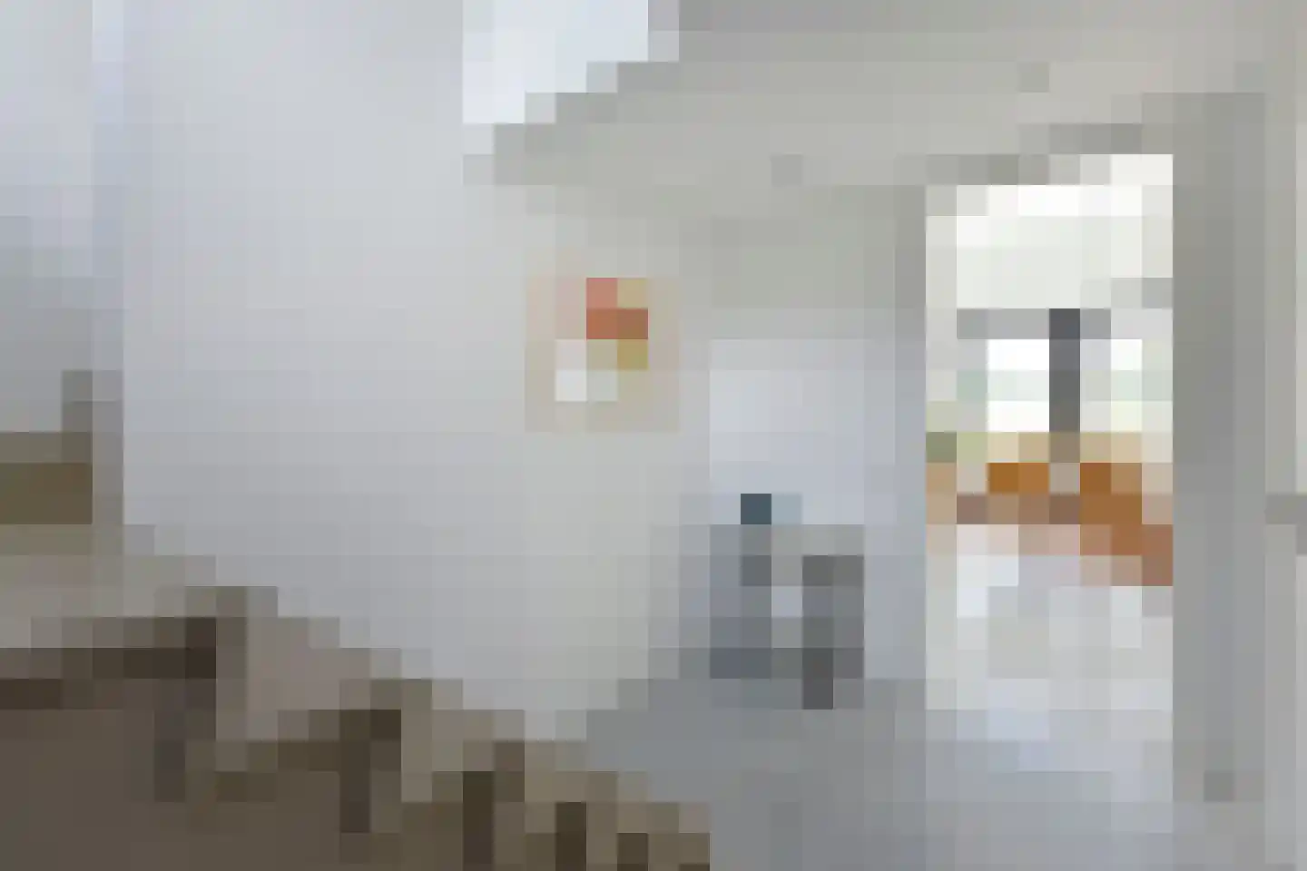 Meije 86 C Nieuwkoop thumbnail 26