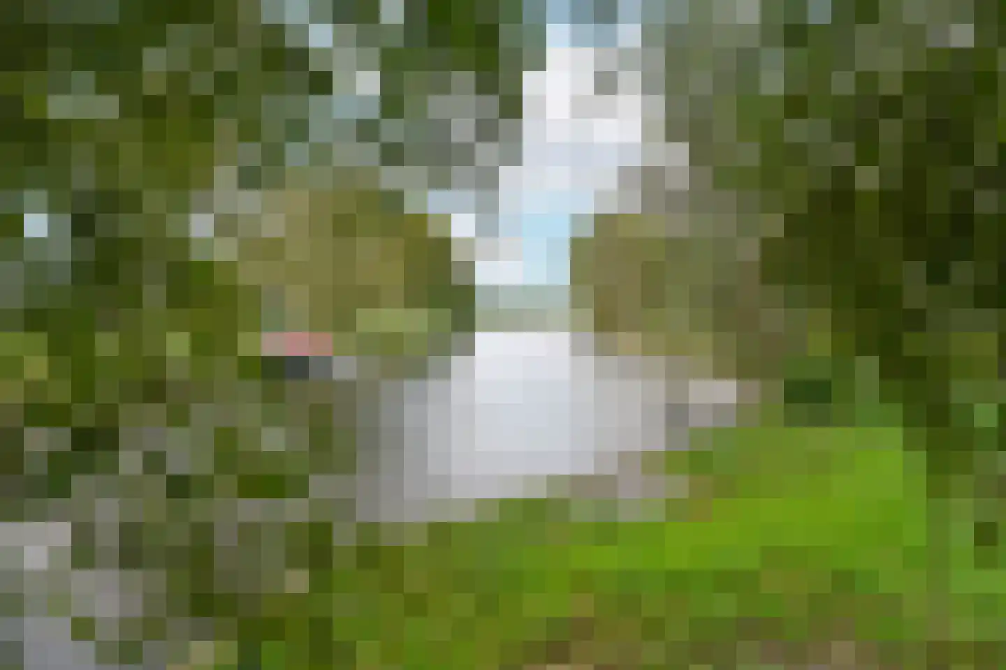 Meije 86 C Nieuwkoop thumbnail 5