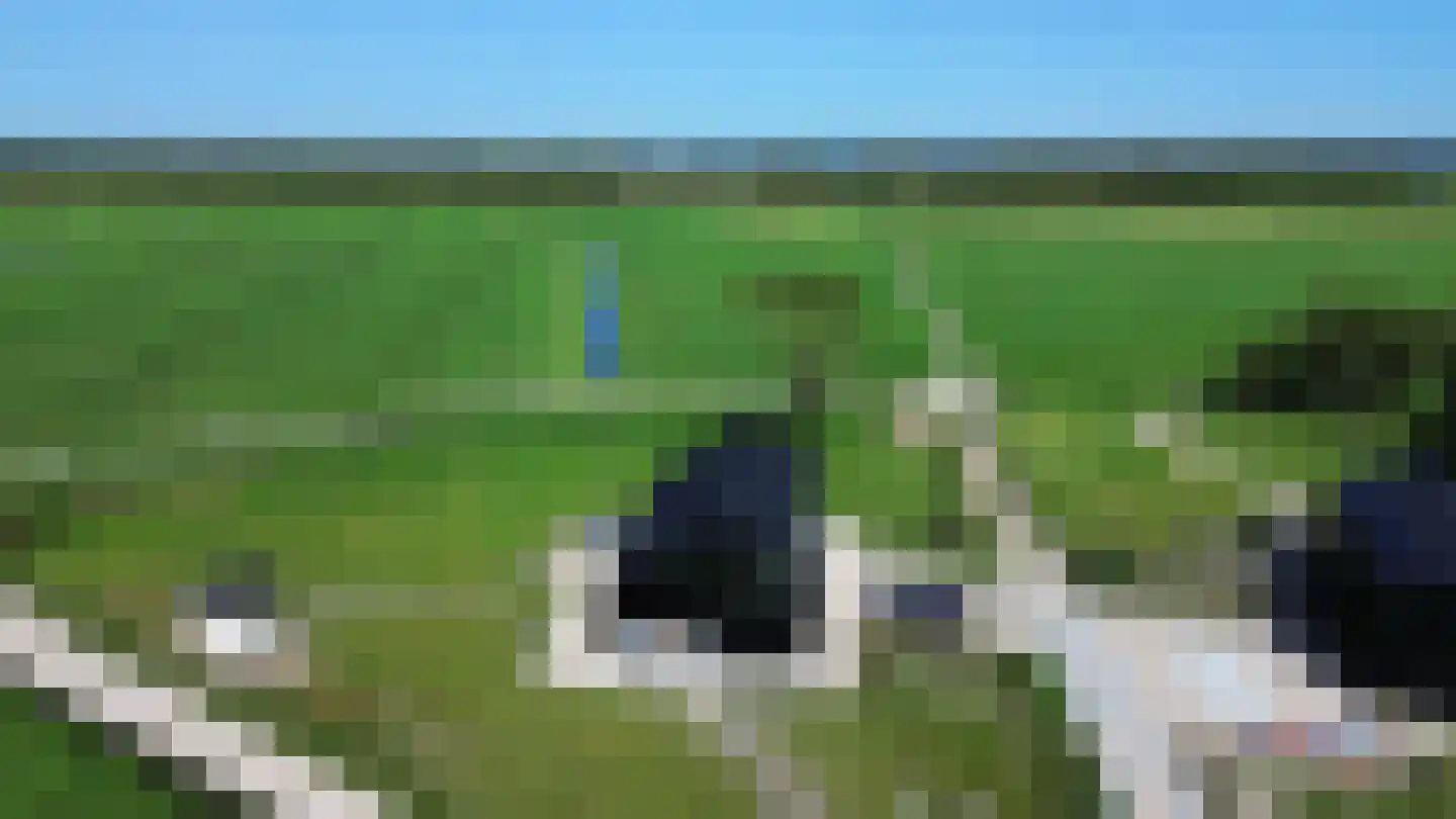 Meije 86 C Nieuwkoop thumbnail 62