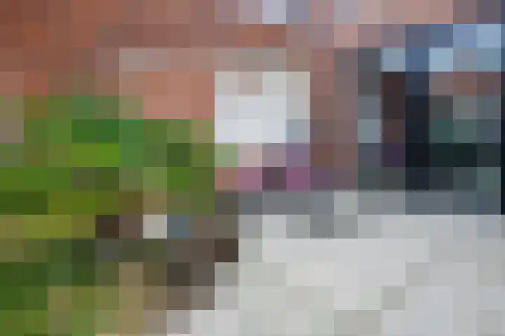 Meijelaan 8 Leiderdorp thumbnail 17