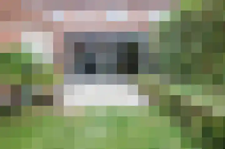 Meijelaan 8 Leiderdorp thumbnail 19