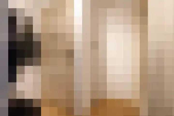 Meijelaan 8 Leiderdorp thumbnail 20
