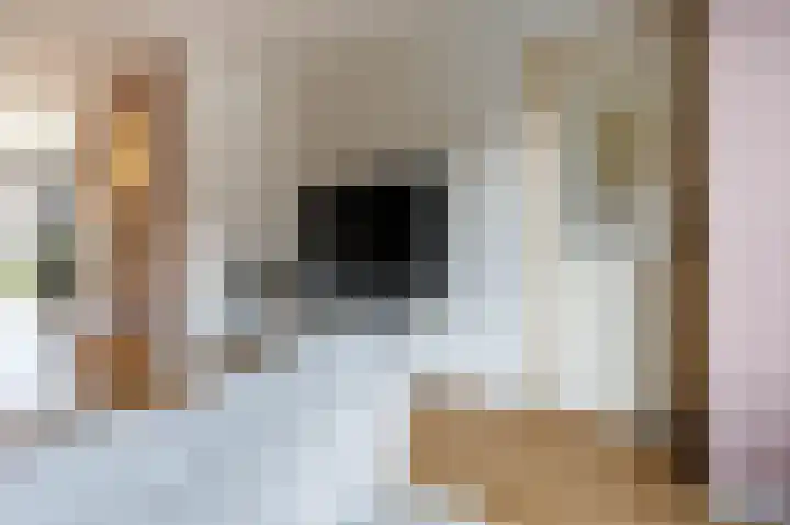 Meijelaan 8 Leiderdorp thumbnail 23