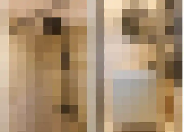 Meijelaan 8 Leiderdorp thumbnail 27