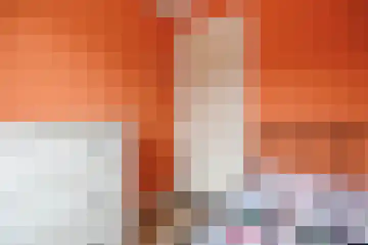 Meijelaan 8 Leiderdorp thumbnail 34