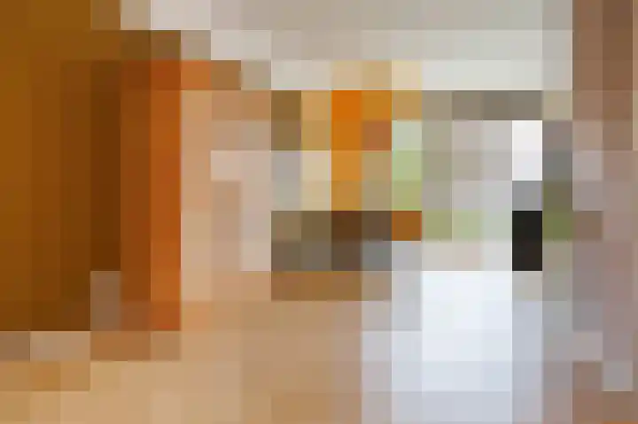 Meijelaan 8 Leiderdorp thumbnail 6