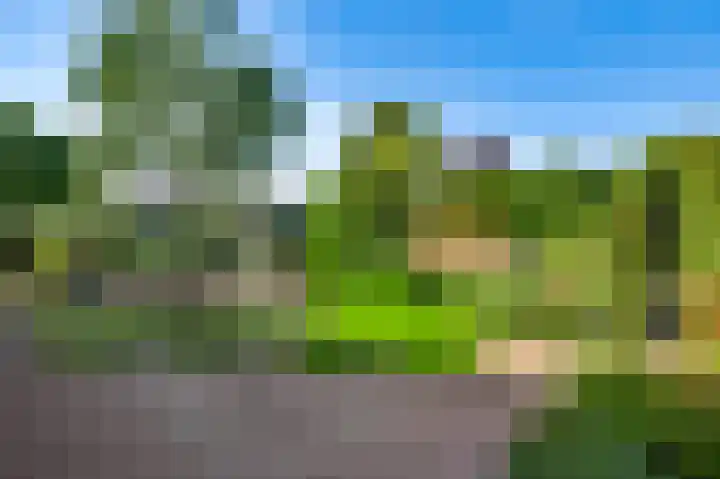 Meijelsedijk 149 Ospel thumbnail 34