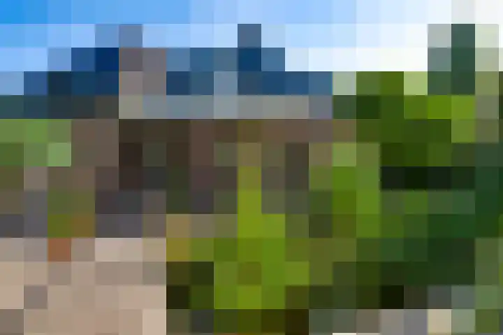 Meijelsedijk 149 Ospel thumbnail 38