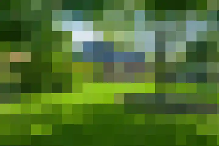 Meijelsedijk 149 Ospel thumbnail 42