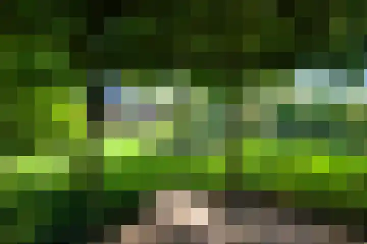 Meijelsedijk 149 Ospel thumbnail 43
