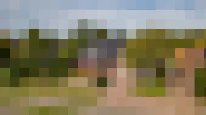 Meijelsedijk 149 Ospel thumbnail 56