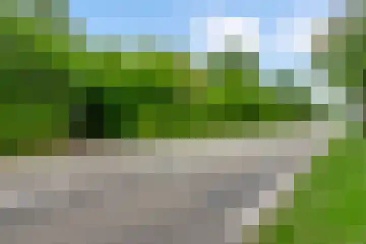 Meijelsedijk 169 Ospel thumbnail 10