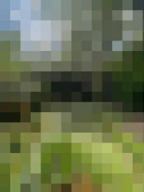 Meijelsedijk 169 Ospel thumbnail 72