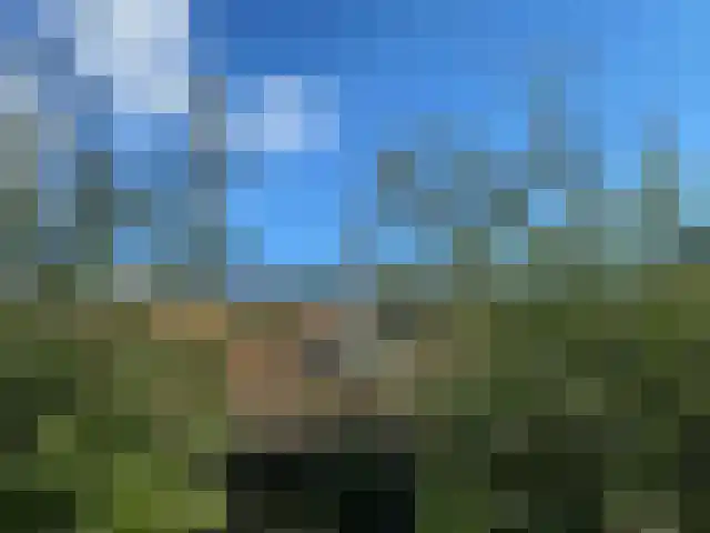 Meijelsedijk 169 Ospel thumbnail 77