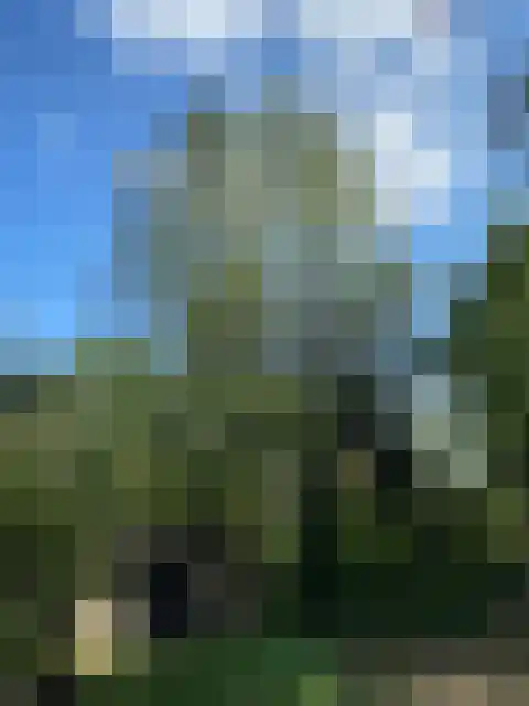 Meijelsedijk 169 Ospel thumbnail 79