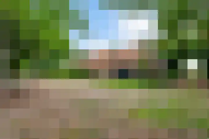 Meijelsedijk 169 Ospel thumbnail 8