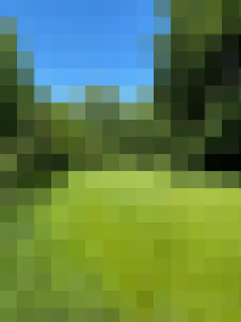 Meijelsedijk 169 Ospel thumbnail 80