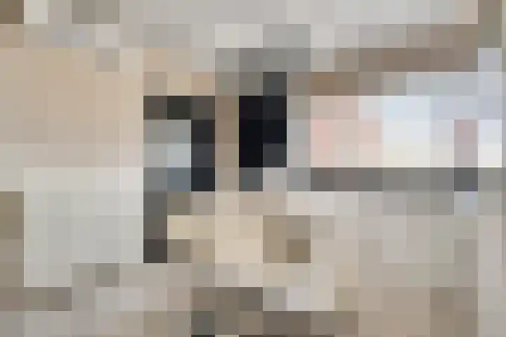 Meijelsedijk 213 Ospel thumbnail 12
