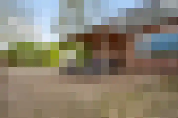 Meijelsedijk 213 Ospel thumbnail 21