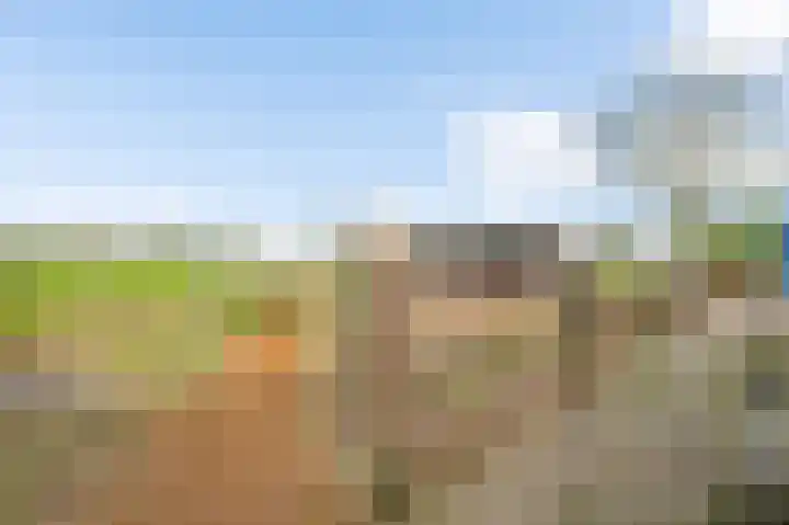 Meijelsedijk 213 Ospel thumbnail 24