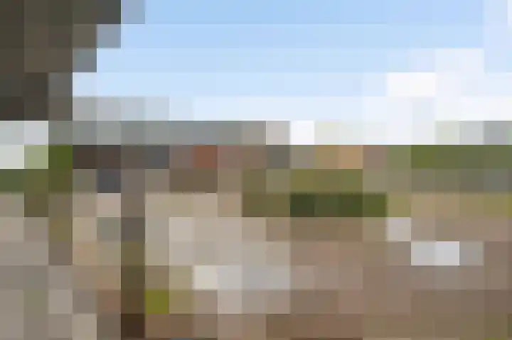 Meijelsedijk 213 Ospel thumbnail 25