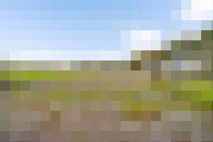 Meijelsedijk 213 Ospel thumbnail 26