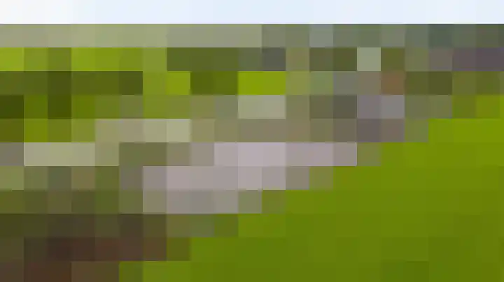Meijelsedijk 213 Ospel thumbnail 27
