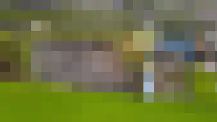 Meijelsedijk 213 Ospel thumbnail 28