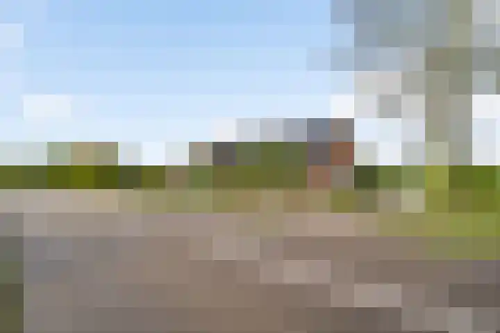 Meijelsedijk 213 Ospel thumbnail 31