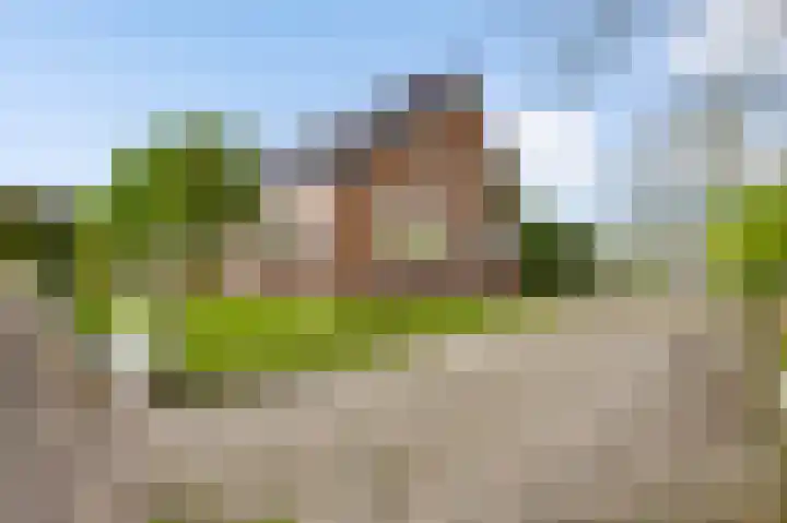 Meijelsedijk 213 Ospel thumbnail 4