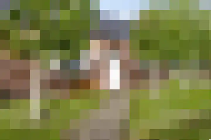 Meijelsedijk 213 Ospel thumbnail 5