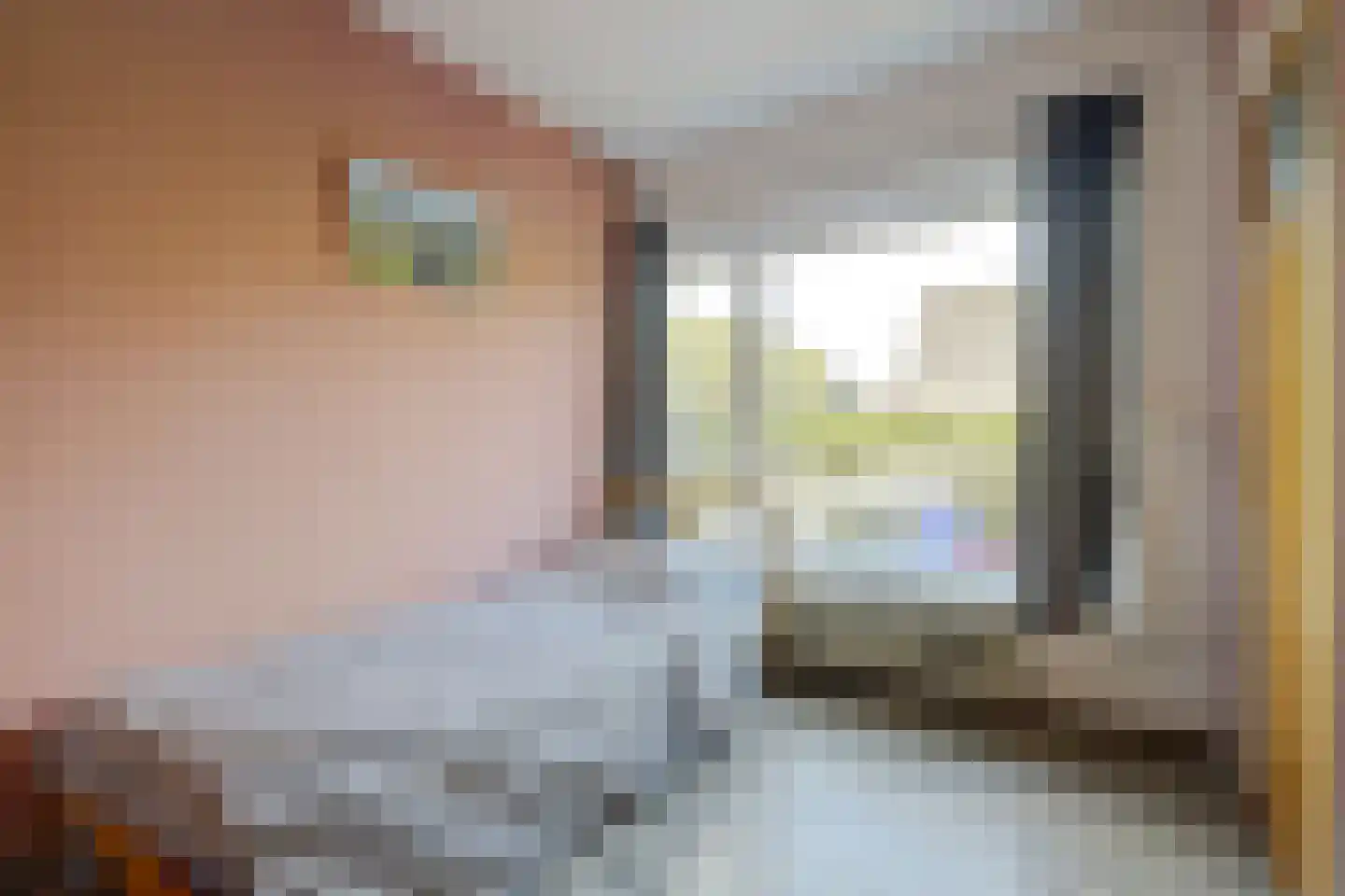Meijelsedijk 70 Ospel thumbnail 38