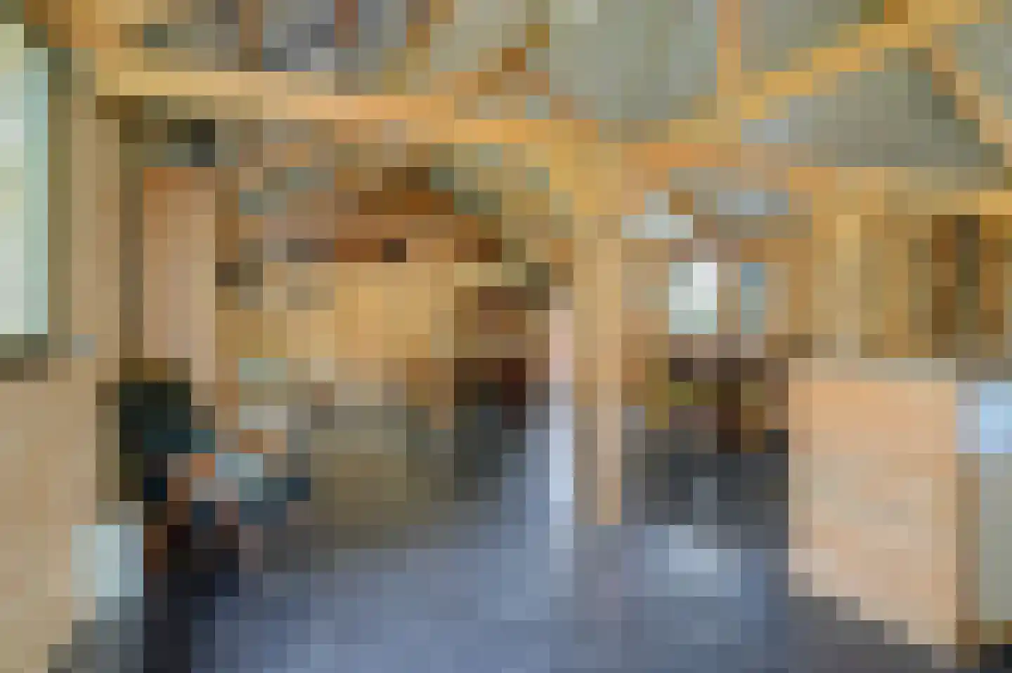 Meijelsedijk 70 Ospel thumbnail 4