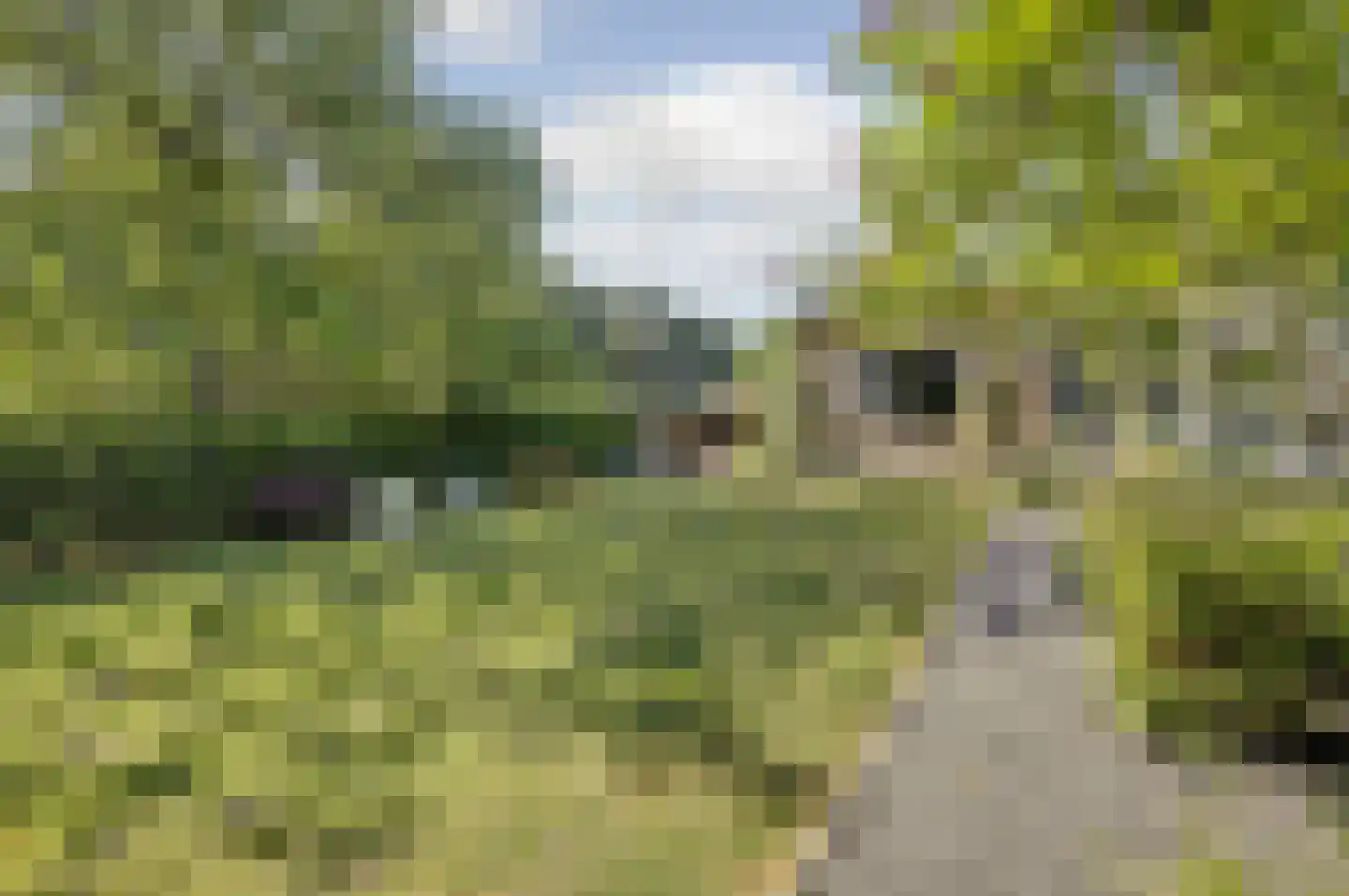 Meijelsedijk 70 Ospel thumbnail 52