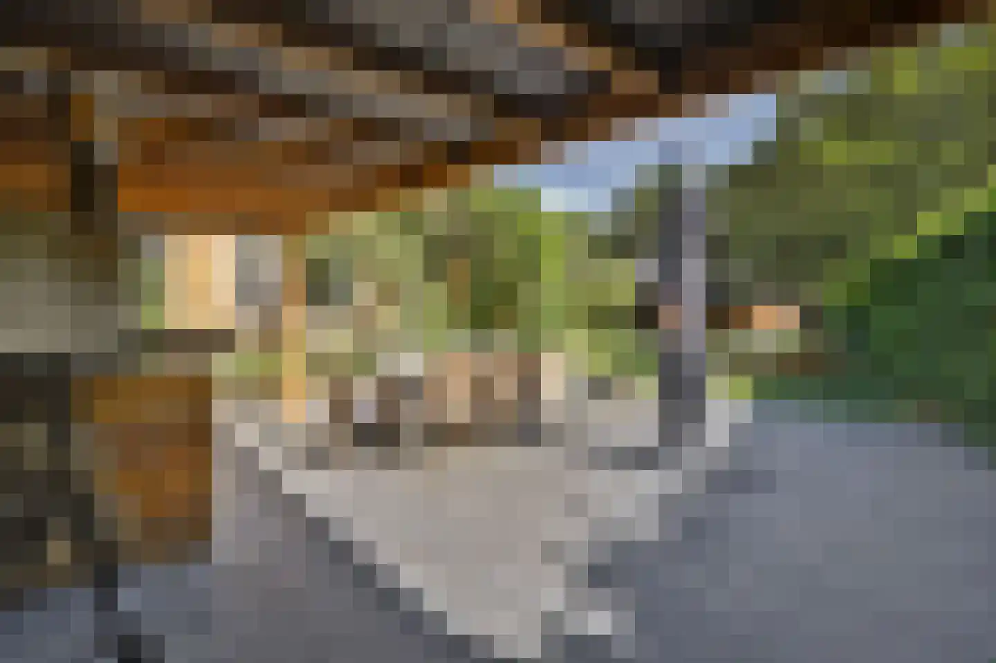 Meijelsedijk 70 Ospel thumbnail 55