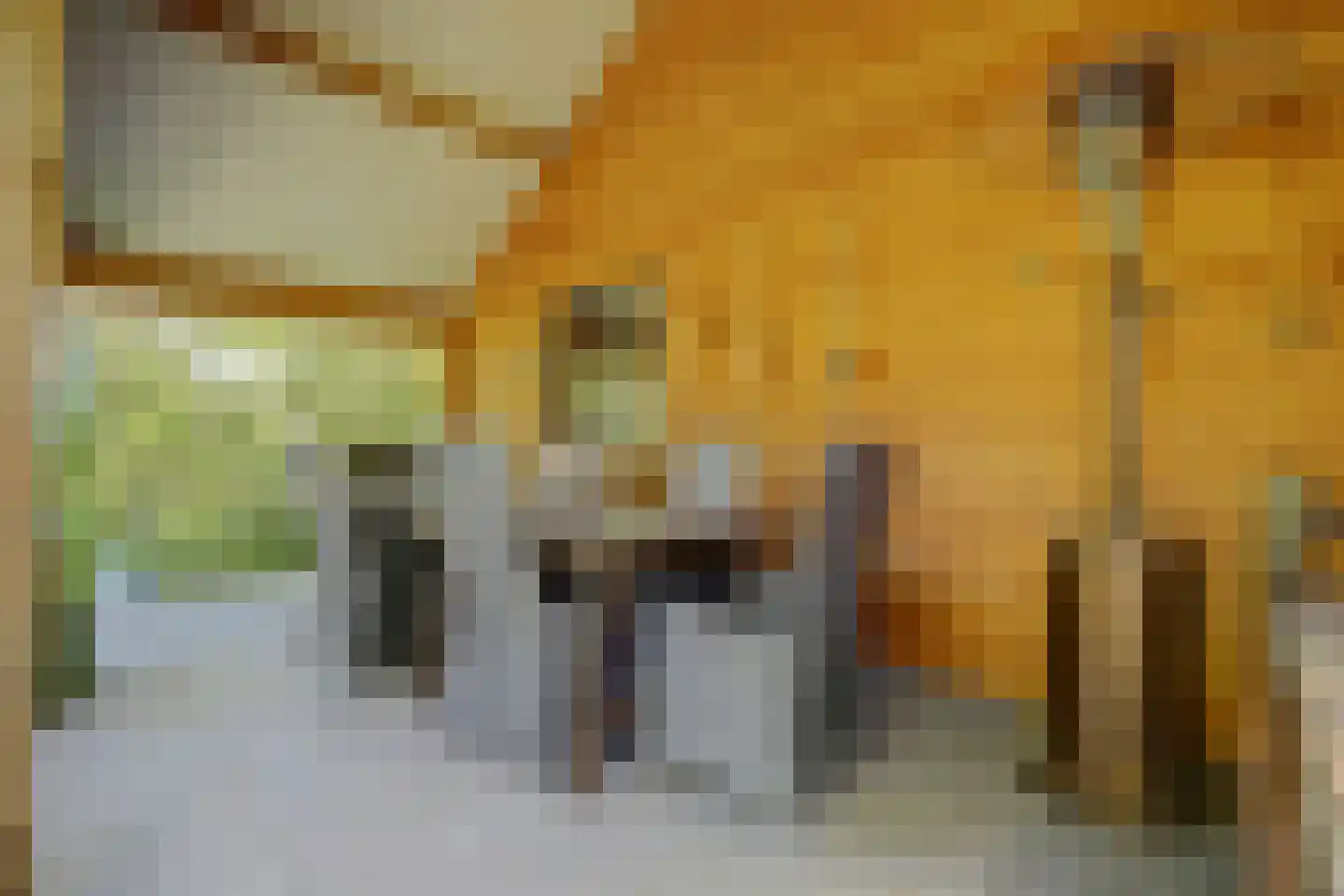 Meijelsedijk 70 Ospel thumbnail 58