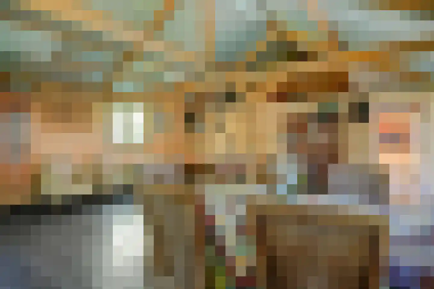 Meijelsedijk 70 Ospel thumbnail 60
