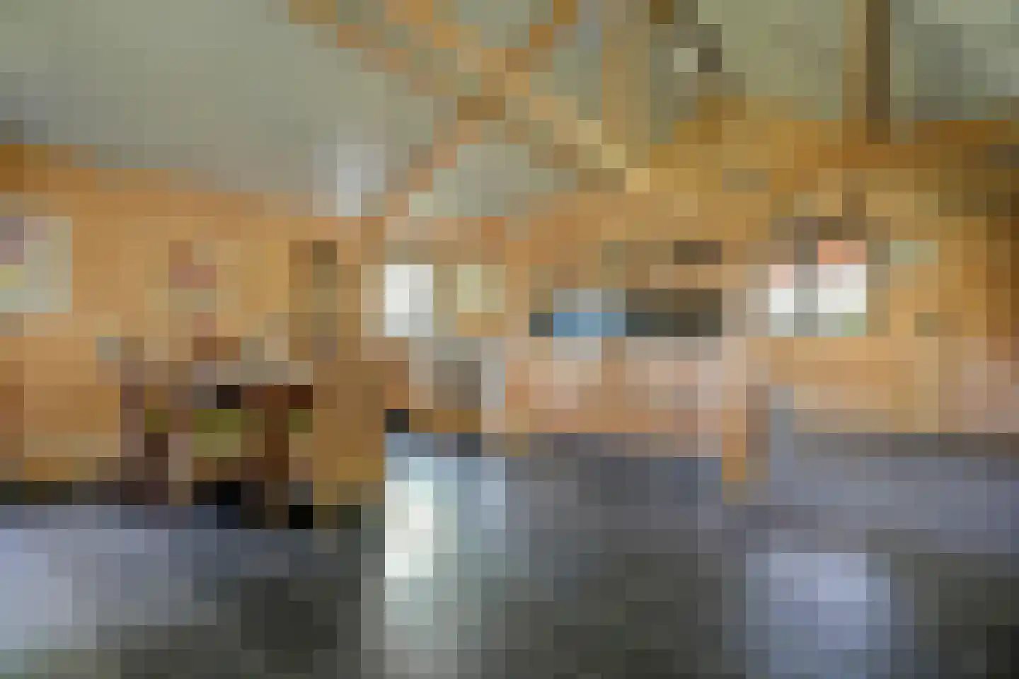 Meijelsedijk 70 Ospel thumbnail 61