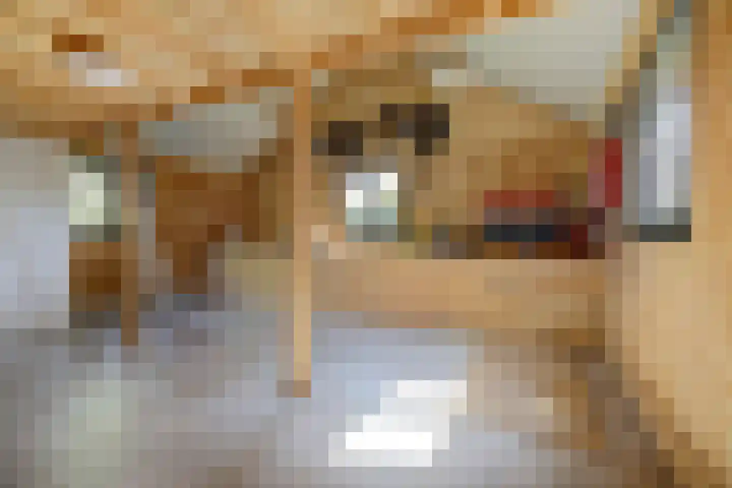 Meijelsedijk 70 Ospel thumbnail 64