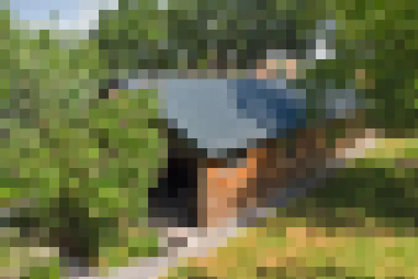 Meijelsedijk 70 Ospel thumbnail 65