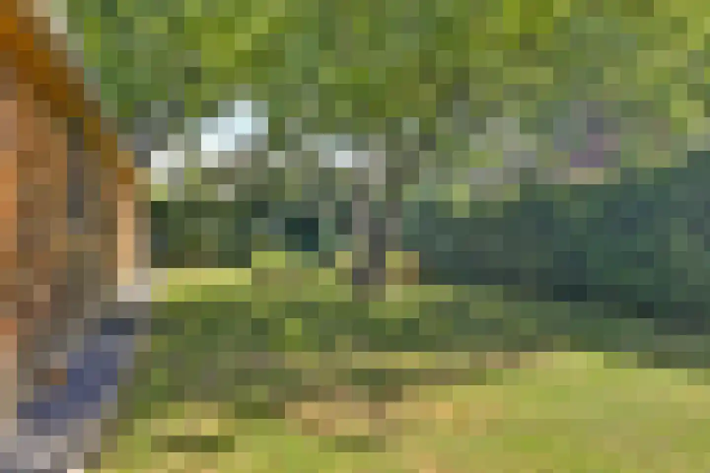 Meijelsedijk 70 Ospel thumbnail 66