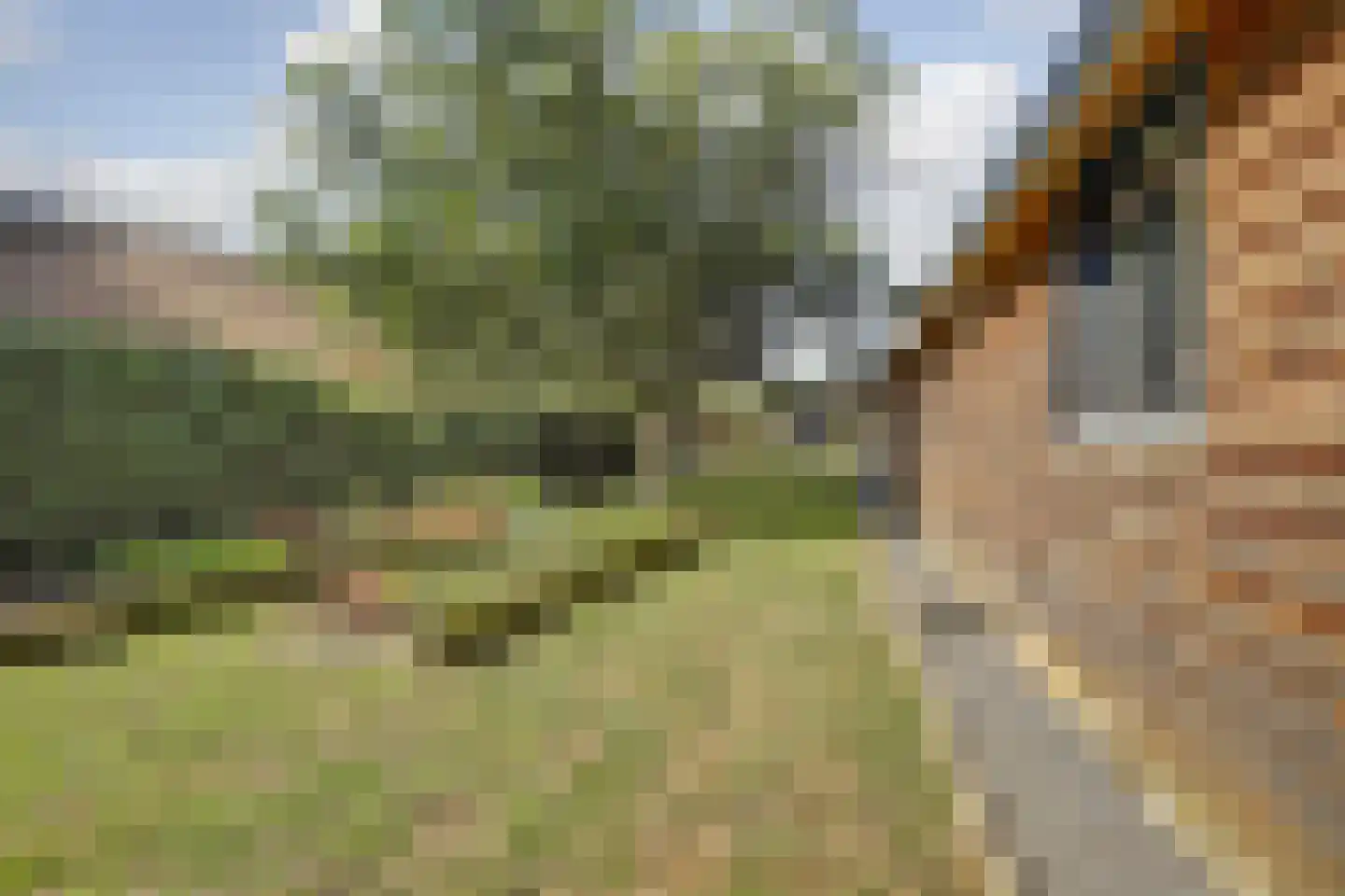 Meijelsedijk 70 Ospel thumbnail 67