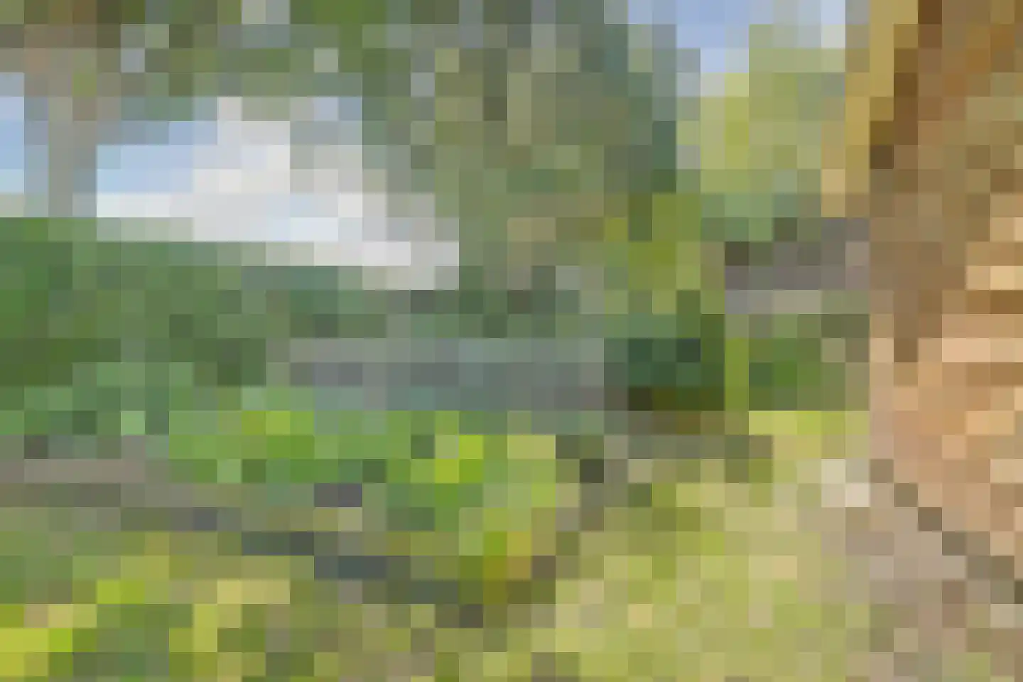 Meijelsedijk 70 Ospel thumbnail 68