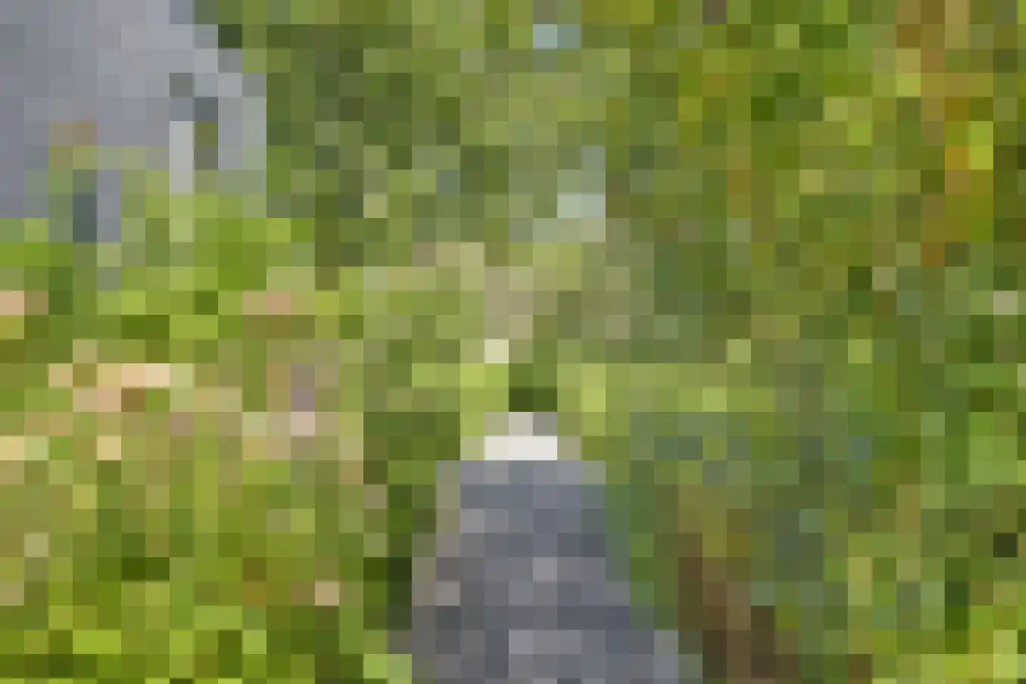 Meijelsedijk 70 Ospel thumbnail 69