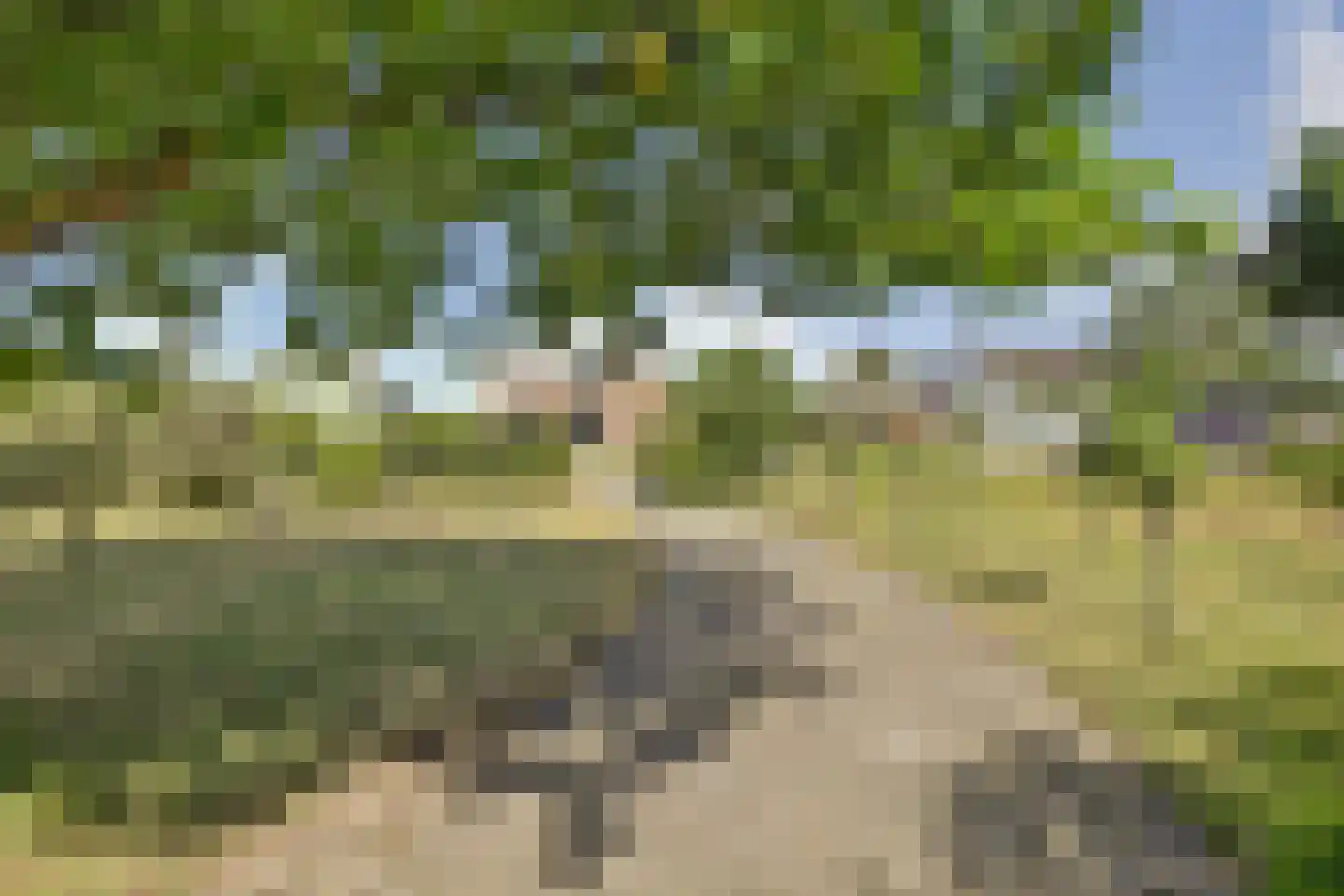 Meijelsedijk 70 Ospel thumbnail 71